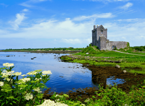 Galway-based investigative intelligence firm Siren raises $10m