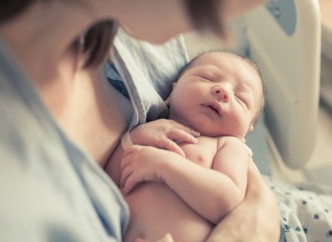 APC Microbiome to lead €3.4m probiotic research for mothers and babies