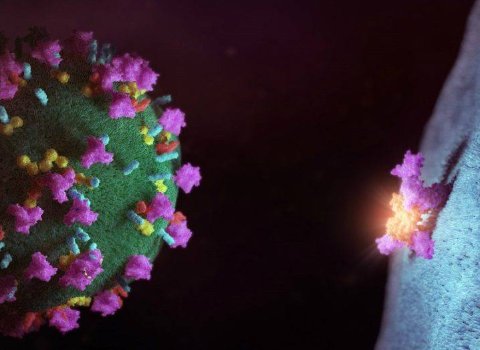 Breakthrough discovery reveals how HIV evades the immune system