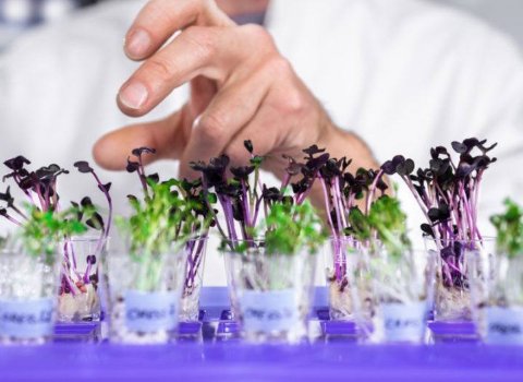 Waterford to play key role in agritech sector as part of €20m EU project