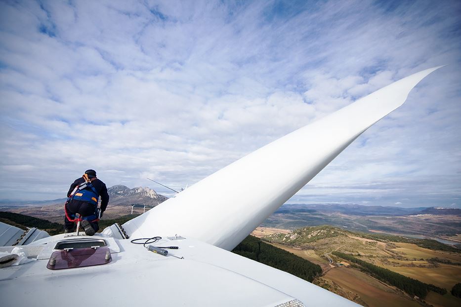 Eli Lilly, Merck & more: How MNCs in Ireland are turning decarbonisation into action