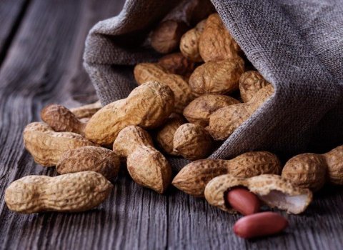 Many children can tolerate peanuts using new allergy treatment