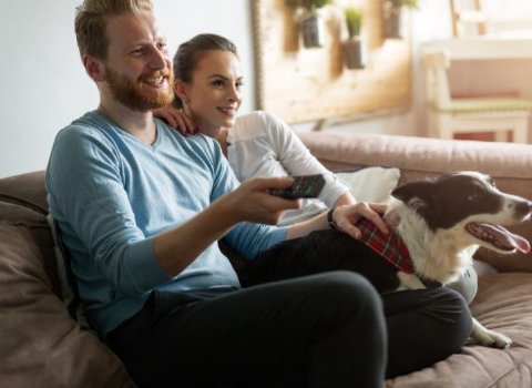Steady growth forecast for Irish media and entertainment industry