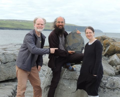 Fossil of 315m-year-old sponge named after mythical giant found in Clare