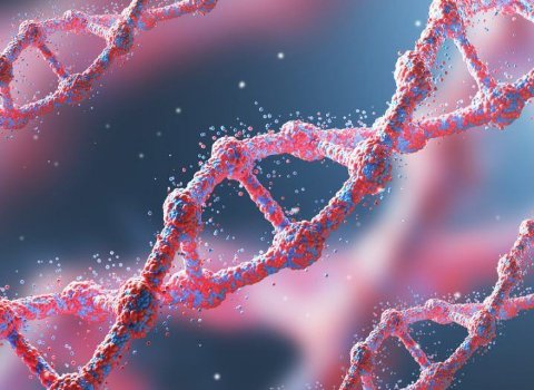 Major genomics study into IBD in Ireland goes nationwide