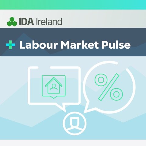 Growing Demand for Digital Skills as LinkedIn Hiring Rate remains strong –Labour Market Pulse