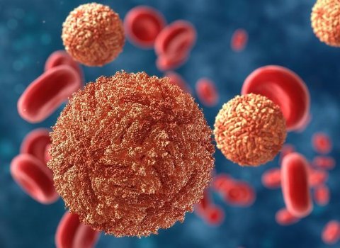 Irish researchers help boost catalogue of RNA viruses