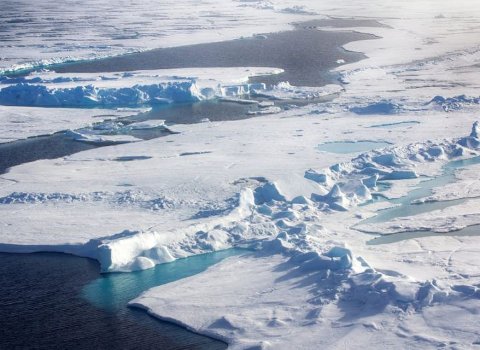 Living bacteria found in polar ice has major implications for alien life search