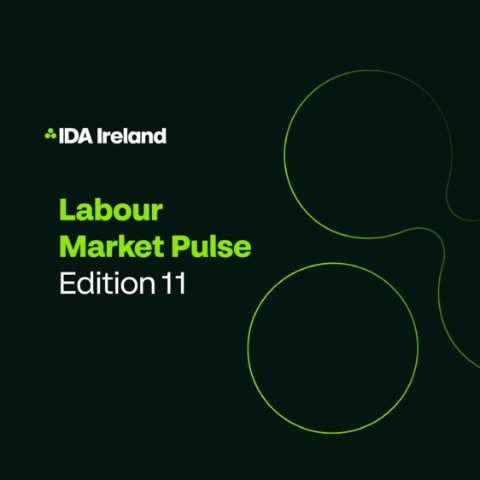 Labour Market Pulse Edition 11