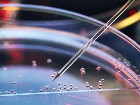 AstraZeneca to invest €65m in biologic manufacturing, research and development in Ireland