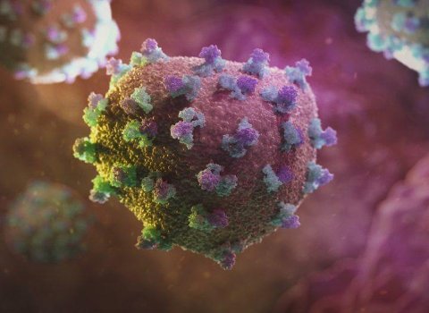 Irish scientists discover how hepatitis C ‘ghosts’ our immune system 