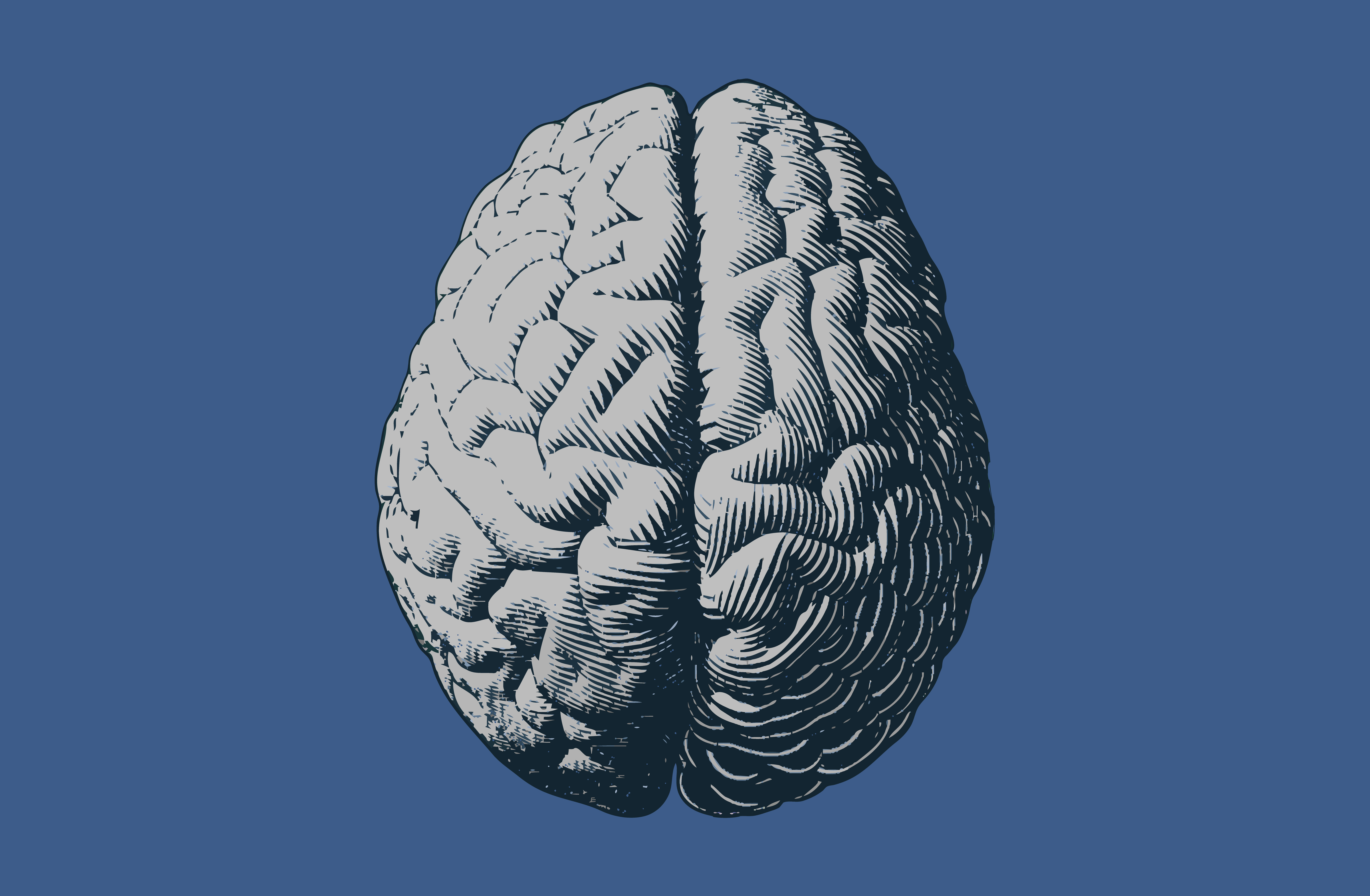 TCD scientists link nanoplastics to neurological conditions