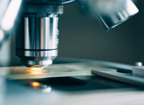 Six Ireland-based researchers bag €12m in European funding
